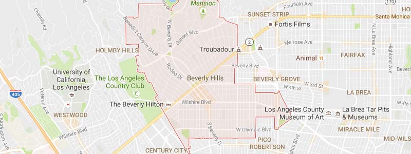 Beverly Hills Private Investigator Beverly Hills Private Investigator